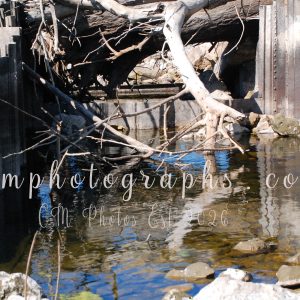 Old Dam